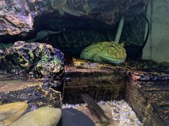 -海南热带野生动植物园