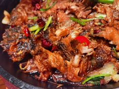 老板恋上鱼-老板恋上鱼(振华商厦店)