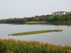 -华侨城湿地公园