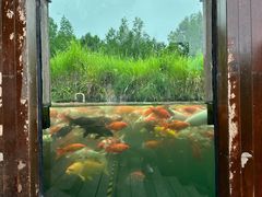 -宁波杭州湾国家湿地公园