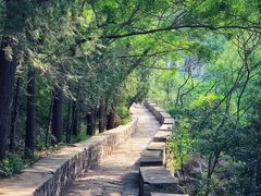 门面-碓臼峪自然风景区