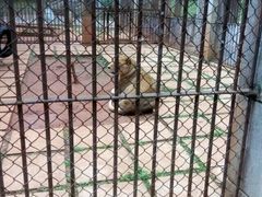 -昆明动物园