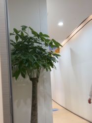 -郑荃丽格医疗美容