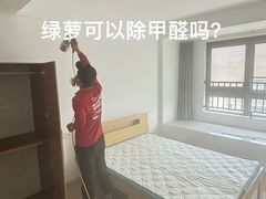 -清新全家甲醛治理(浦东新区店)
