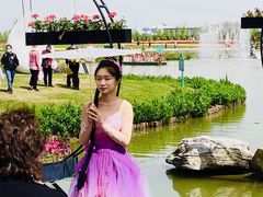 -荷兰花海