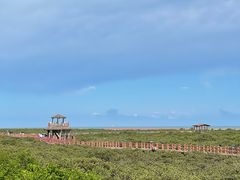 -北海金海湾红树林生态旅游区