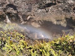 -夏威夷火山国家公园