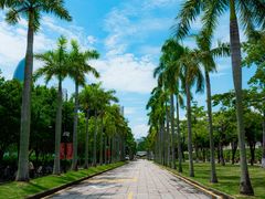 -厦门大学(思明校区)