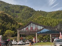 -大围山国家森林公园