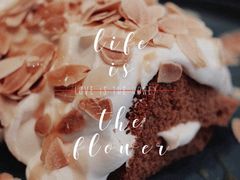 戚风蛋糕-Home Cafe(水榭春天店)