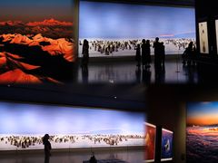 -罗红摄影艺术馆