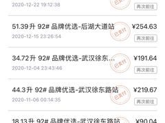 -中国石油徐东路加油站(武汉大道店)