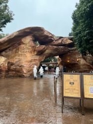 -翱翔飞越地平线