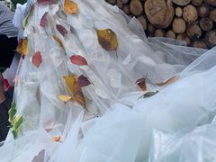 -向日葵艺术中心美术(虹桥南丰城校区)