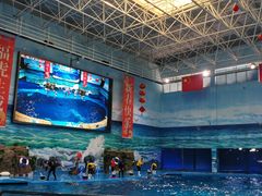 -多彩贵州城极地海洋世界