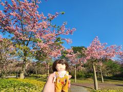 -风云岭森林公园