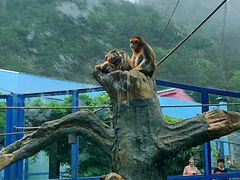 -大连森林动物园