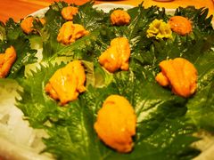 海胆刺身-王鼎精致料理铁板烧(世博源店)