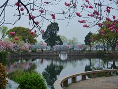 -无锡蠡湖国家湿地公园-蠡园