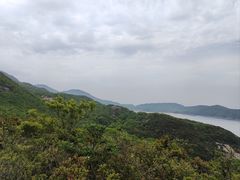 -桃花岛风景旅游区