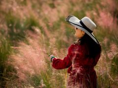 -艾溪湖湿地公园