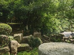 -白马涧龙池景区