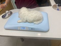 -中农大我爱我爱动物医院·核磁CT·猫病·24小时夜诊中心(石佛营店)