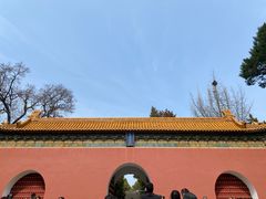 -梅花山(明孝陵内)
