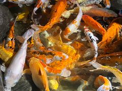 -海合安青岛极地海洋公园