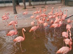 -鄂尔多斯野生动物园