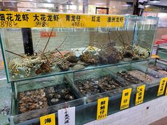 -寻味顺德·南记酒家·传统顺德菜·鱼生(广源路店)