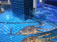 -闽鲜森霞浦海鲜城