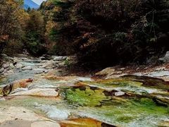 -沣峪口
