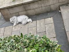 -长广溪湿地公园