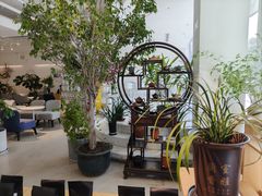 -逗葉茶事·新中式茶饮(创始店)