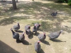 -森林公园(尖草坪区)