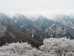 -自贡市盐业历史博物馆