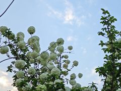 -大龙山(地铁站)