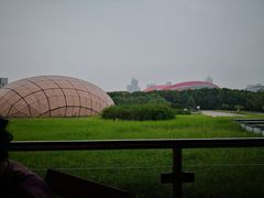 -金陵图书馆