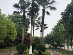 -府河摄影公园