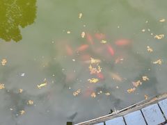 -武汉紫薇都市田园