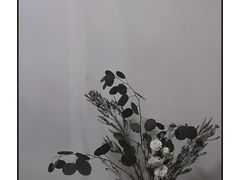 -T11生鲜超市(朝阳公园店)