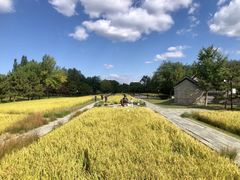 -北坞公园