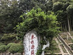 -东庐山观音寺