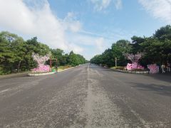-北陵公园