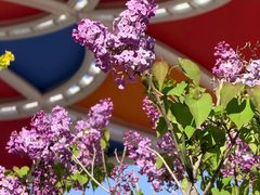 -斯普瑞斯奥特莱斯