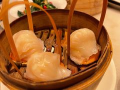 -金鼎轩(方庄天坛店)