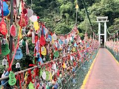-西双版纳原始森林公园