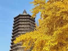 -玲珑塔公园