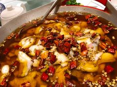 江鱼做水煮鱼-渝信川菜(工体店)